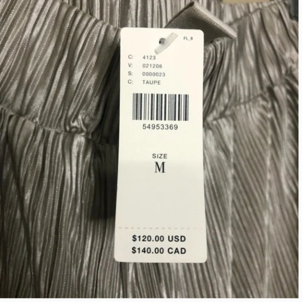 Anthropologie Dolan Pleated Pants in Taupe | Medium | Pleated Pants | Anthro - Picture 10 of 12